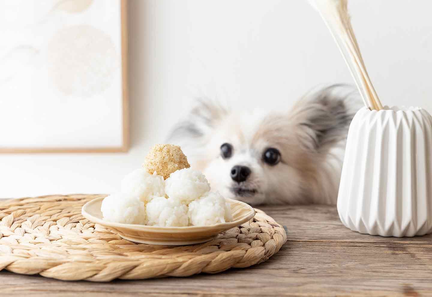 淡路どり犬用鶏サイコロネック100ｇ 5袋