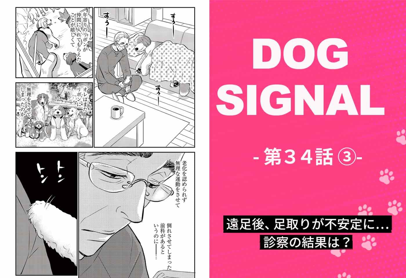 『DOG SIGNAL』34話目3/4　老犬リボンの様子に異変
