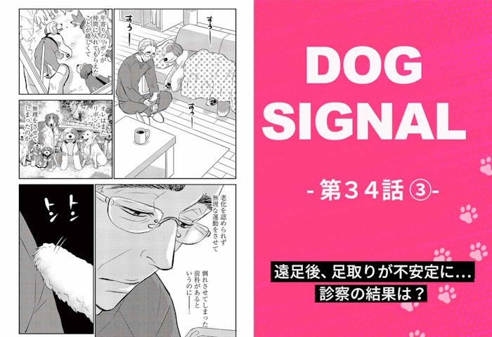 『DOG SIGNAL』34話目3/4　老犬リボンの様子に異変