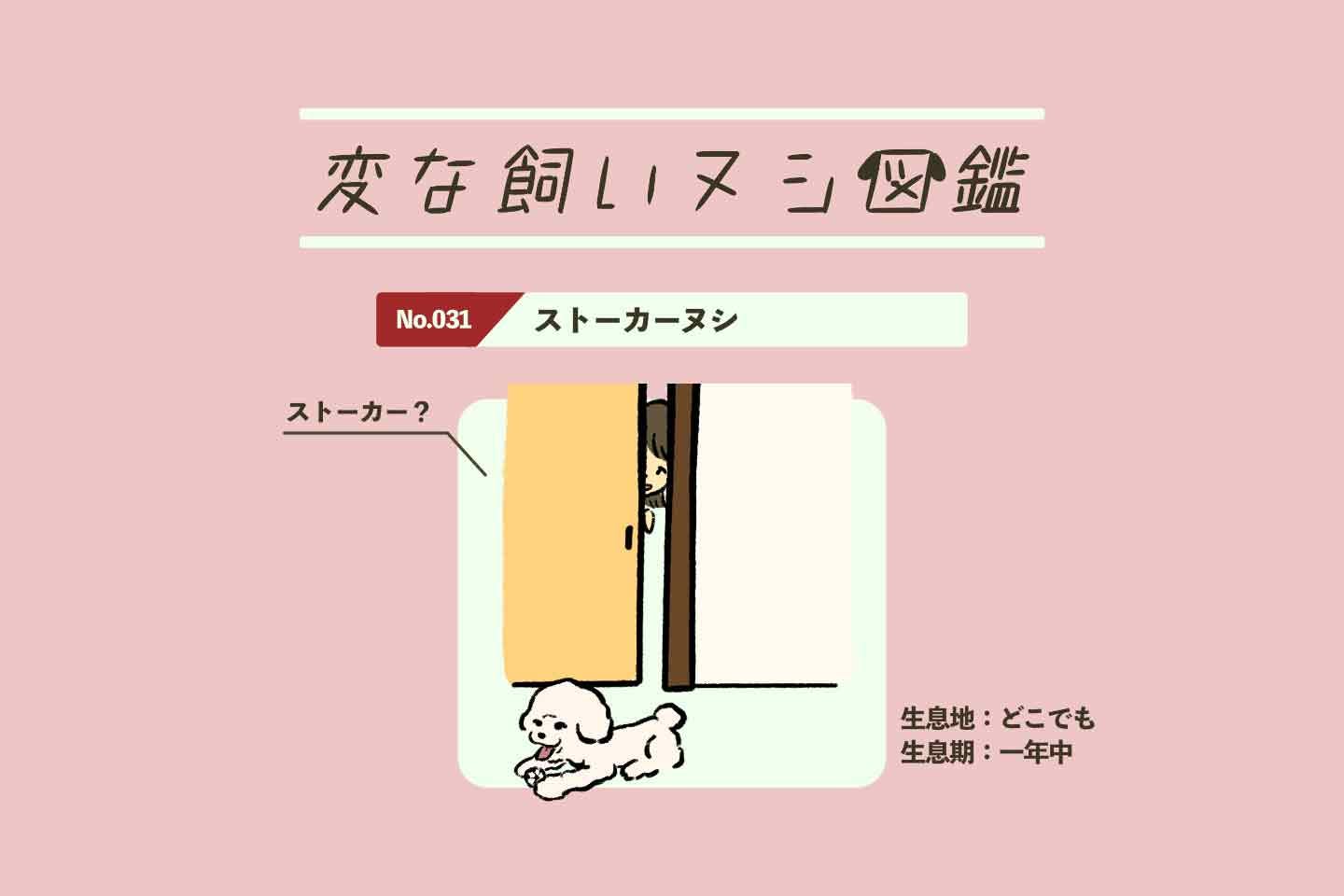 【変な飼いヌシ図鑑No.031】愛犬をこっそり覗き見する飼い主『ストーカーヌシ』