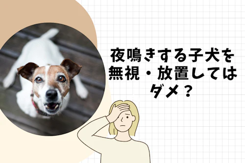 完全子犬マニュアル いつまでがパピー フードの疑問からしつけのお悩みまで 育て方のコツを徹底解説 わんクォール