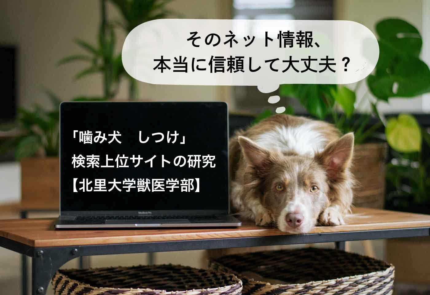 約6割で信頼性が低く動物福祉に配慮せず。「噛み犬　しつけ」検索上位サイトの研究【北里大学獣医学部】