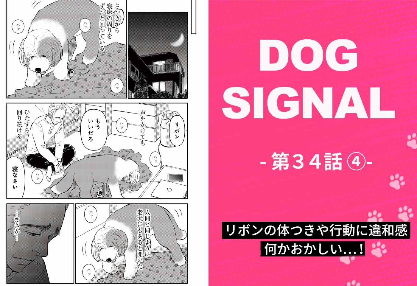 『DOG SIGNAL（ドッグシグナル）』34話目4/4　老犬リボンの落ち着きがない