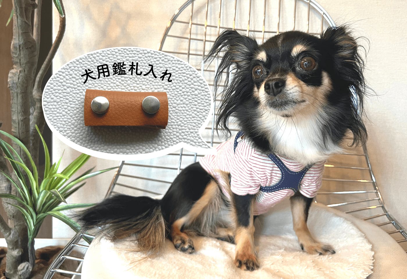 ブラブラしない！ 紛失しにくい！ 簡単でおしゃれな犬用鑑札ケースの作り方