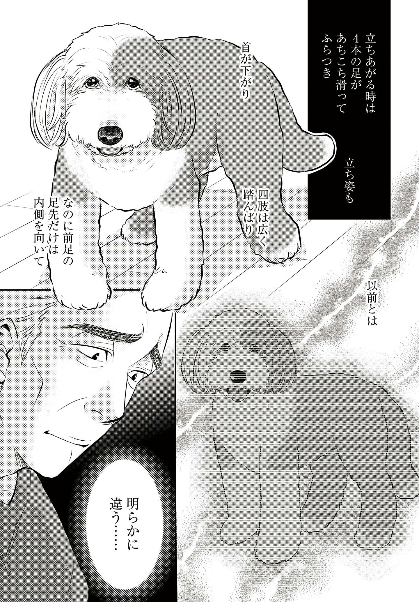ドッグトレーニング漫画『DOG SIGNAL』34話目　4/4