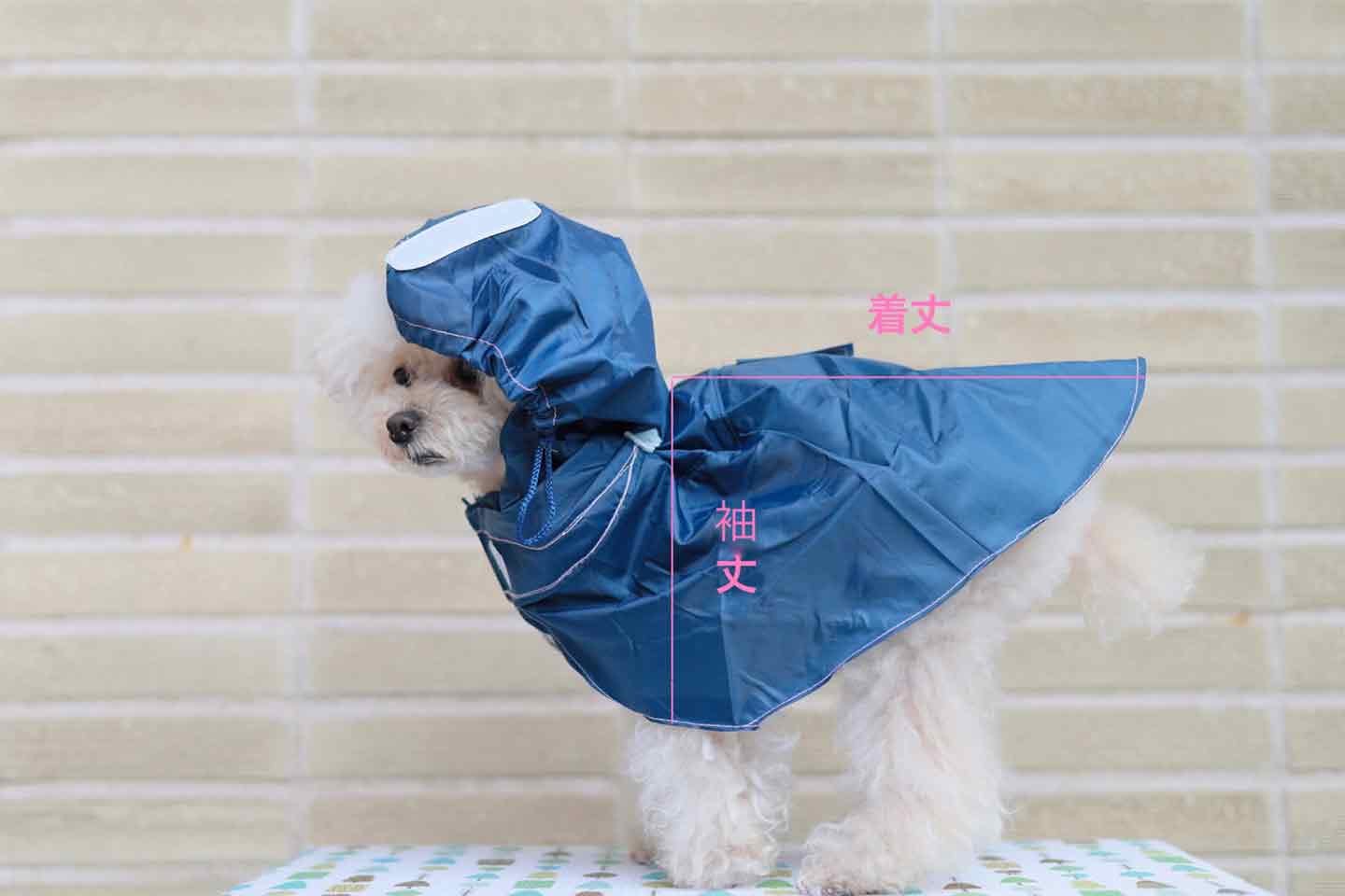 型紙不要】人間用の雨具を犬用レインコートにリメイクする方法|ワンクォール