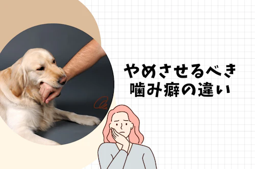 完全子犬マニュアル いつまでがパピー フードの疑問からしつけのお悩みまで 育て方のコツを徹底解説 わんクォール