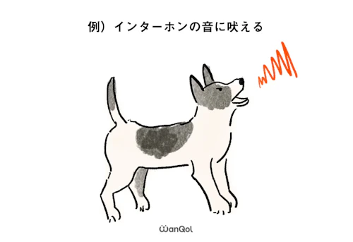 犬の擬人化は危険 愛犬家こそ注意したい 動物行動学 の基本 獣医師 茂木千恵先生のライフワーク わんクォール 犬の擬人化は危険 愛犬家こそ注意したい 動物行動学 の基本 獣医師 茂木千恵先生のライフワーク わんクォール