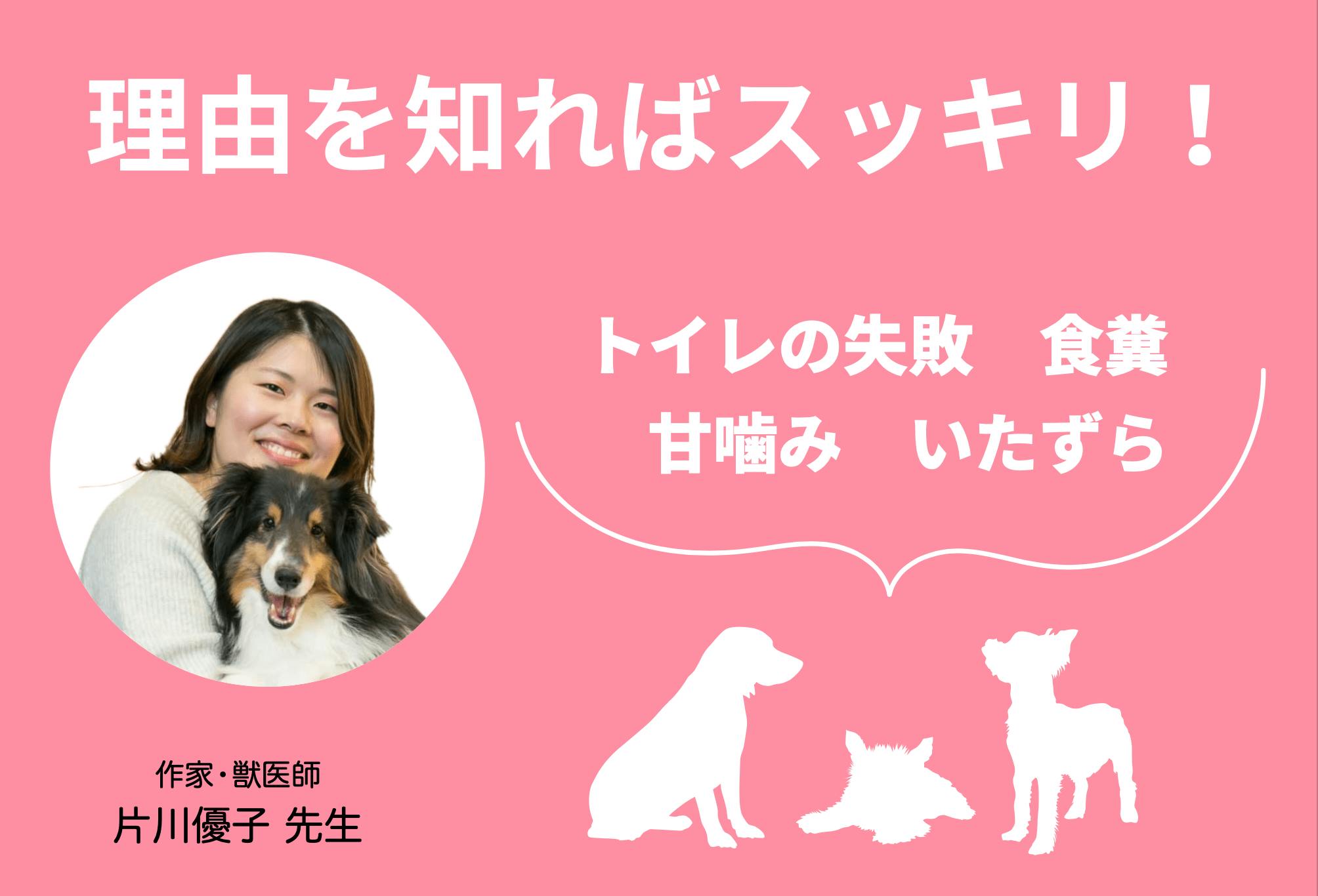 【完全子犬マニュアル】いつまでがパピー？ フードの疑問からしつけのお悩みまで、育て方のコツを徹底解説