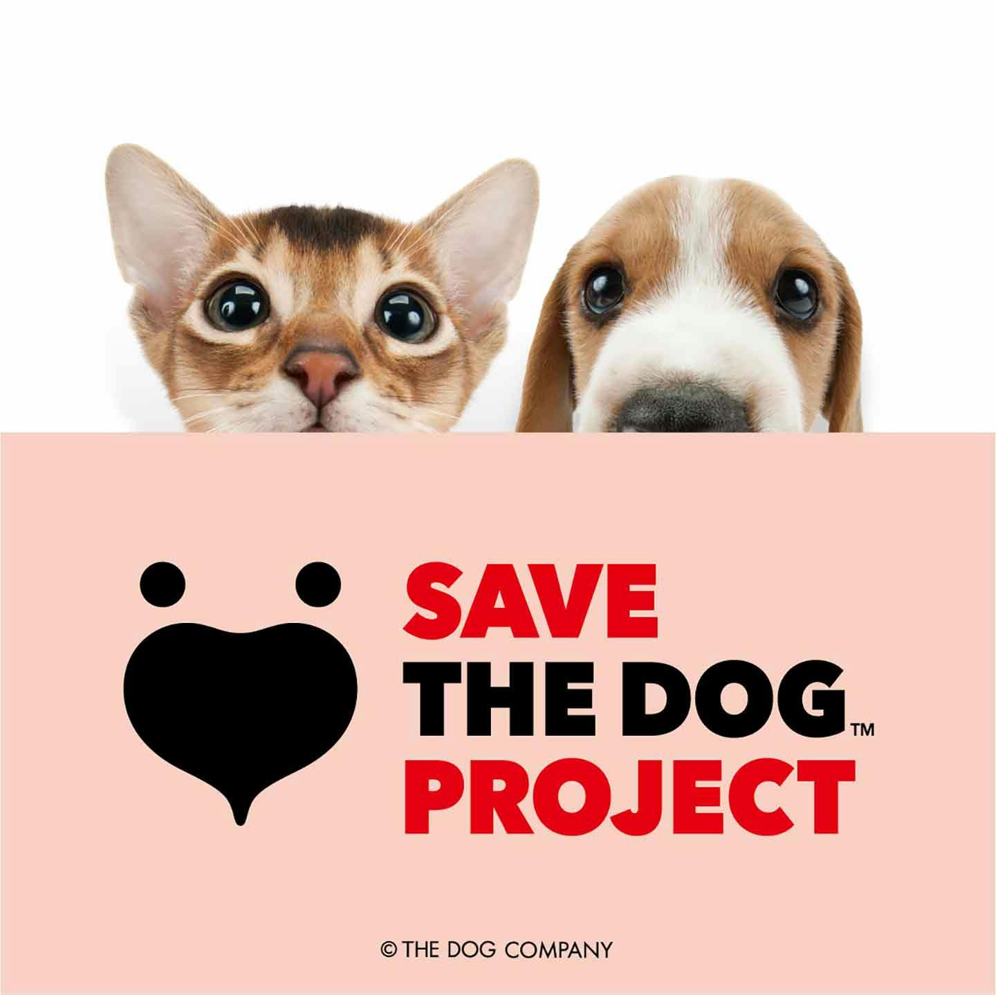 SAVE THE DOG PROJECT(提供:THE DOG COMPANY)