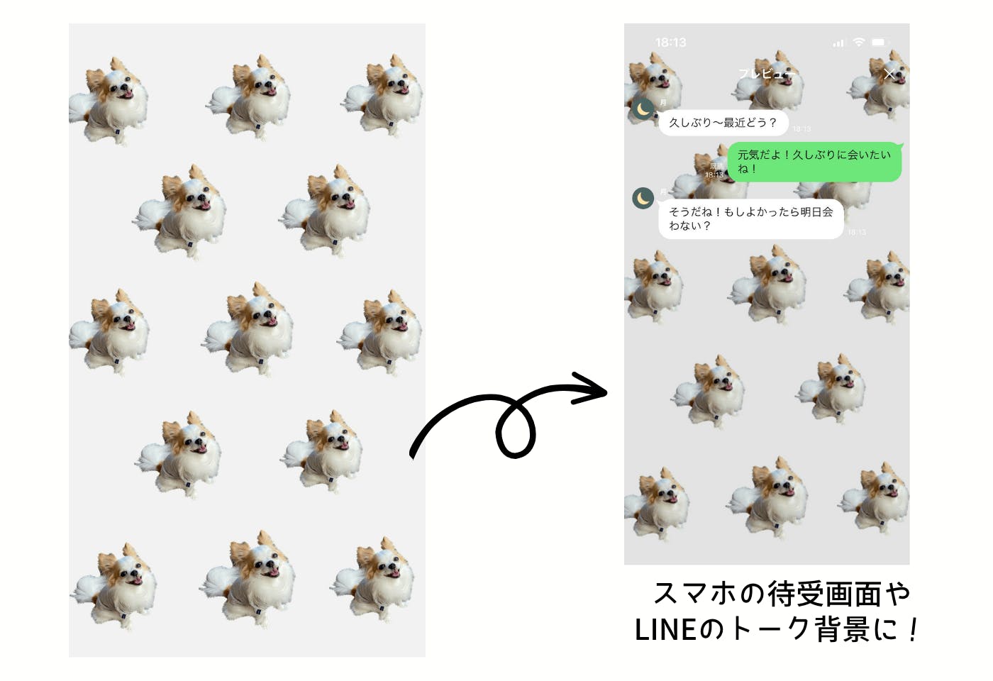 iPhoneの画像切り抜き機能を使った愛犬の総柄デザイン