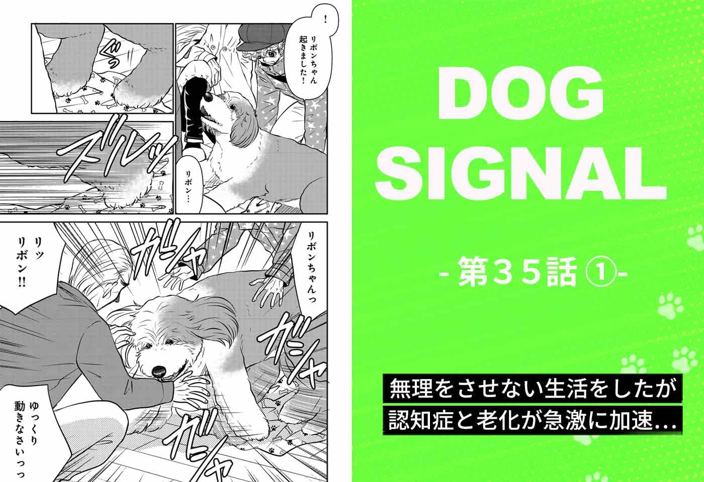 『DOG SIGNAL（ドッグシグナル）』35話目1/4　愛犬の老化・認知症が加速…