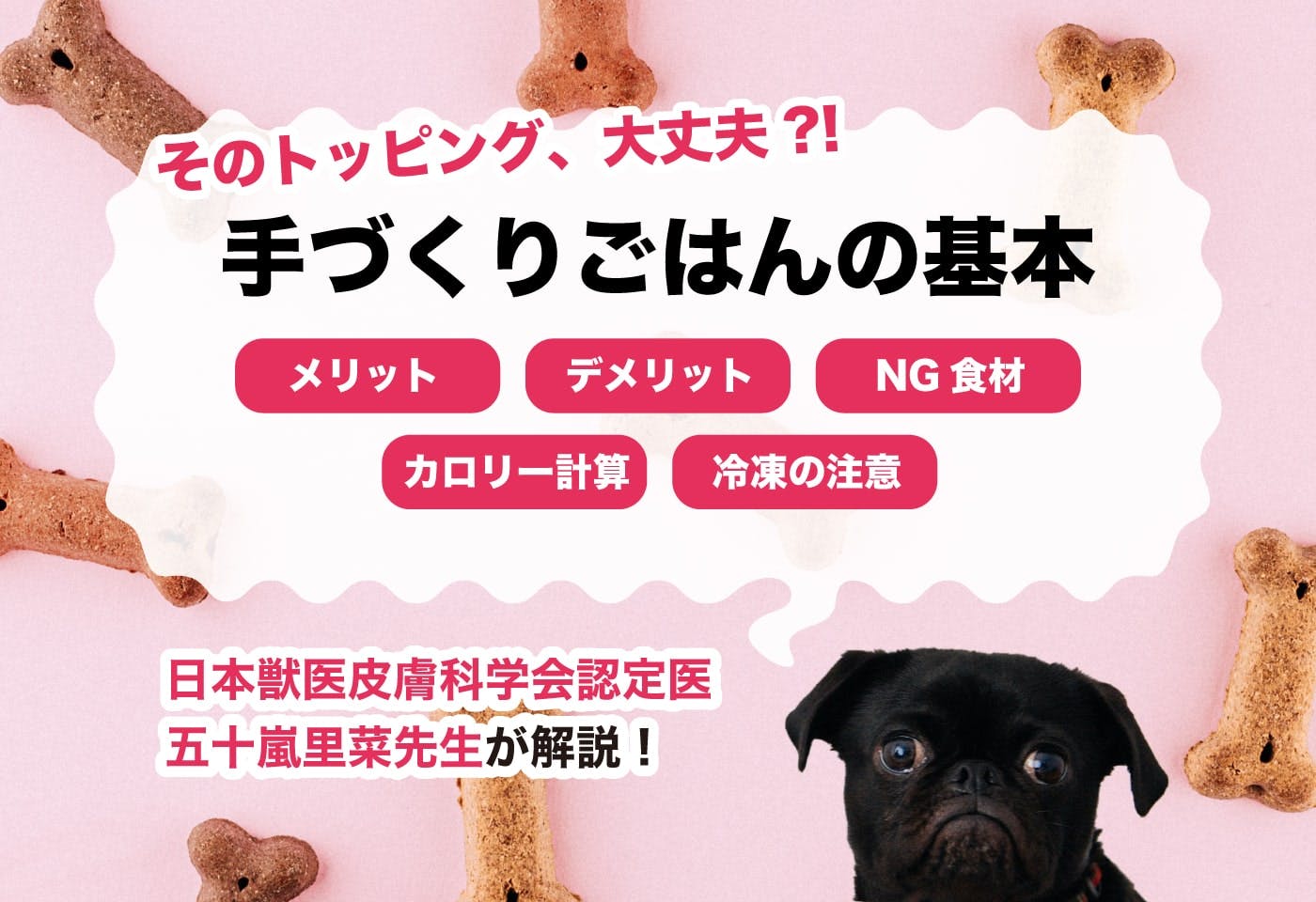 自己流トッピングは危険？　手作りごはんの基本を知って、愛犬の幸せな食事を考えよう