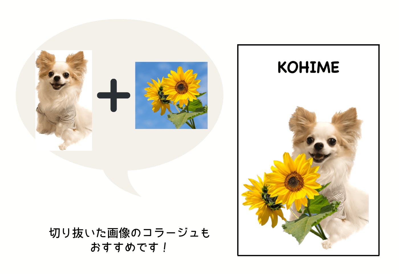 iiPhoneの画像切り抜き機能を使った愛犬と花の絵画風デザイン