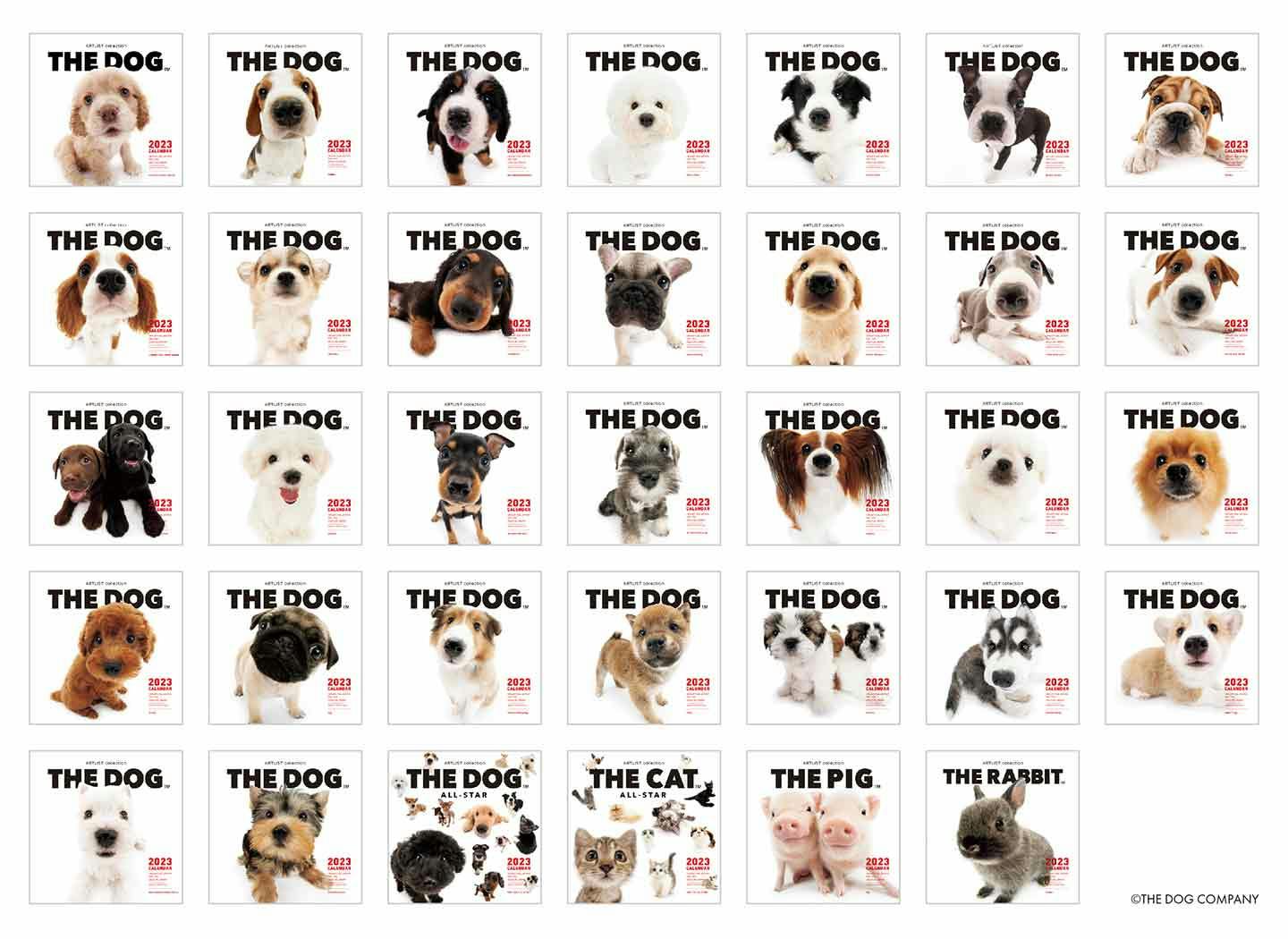 2023年度の「THE DOG」 大判カレンダー（提供：THE DOG COMPANY）