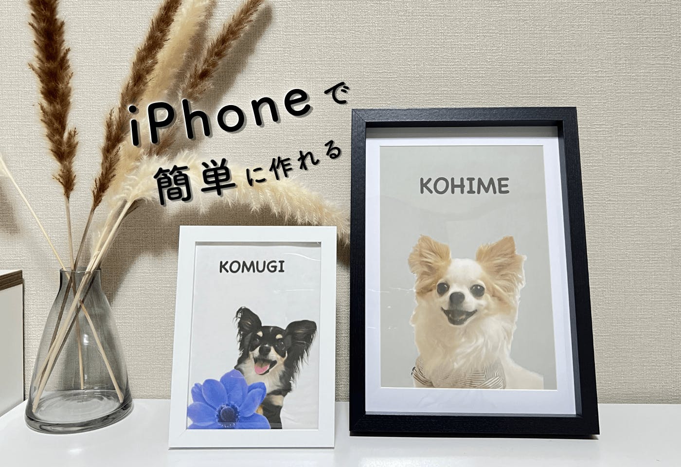 愛犬の写真がオシャレなアートに！iPhoneの画像切り抜き機能のおすすめ活用術