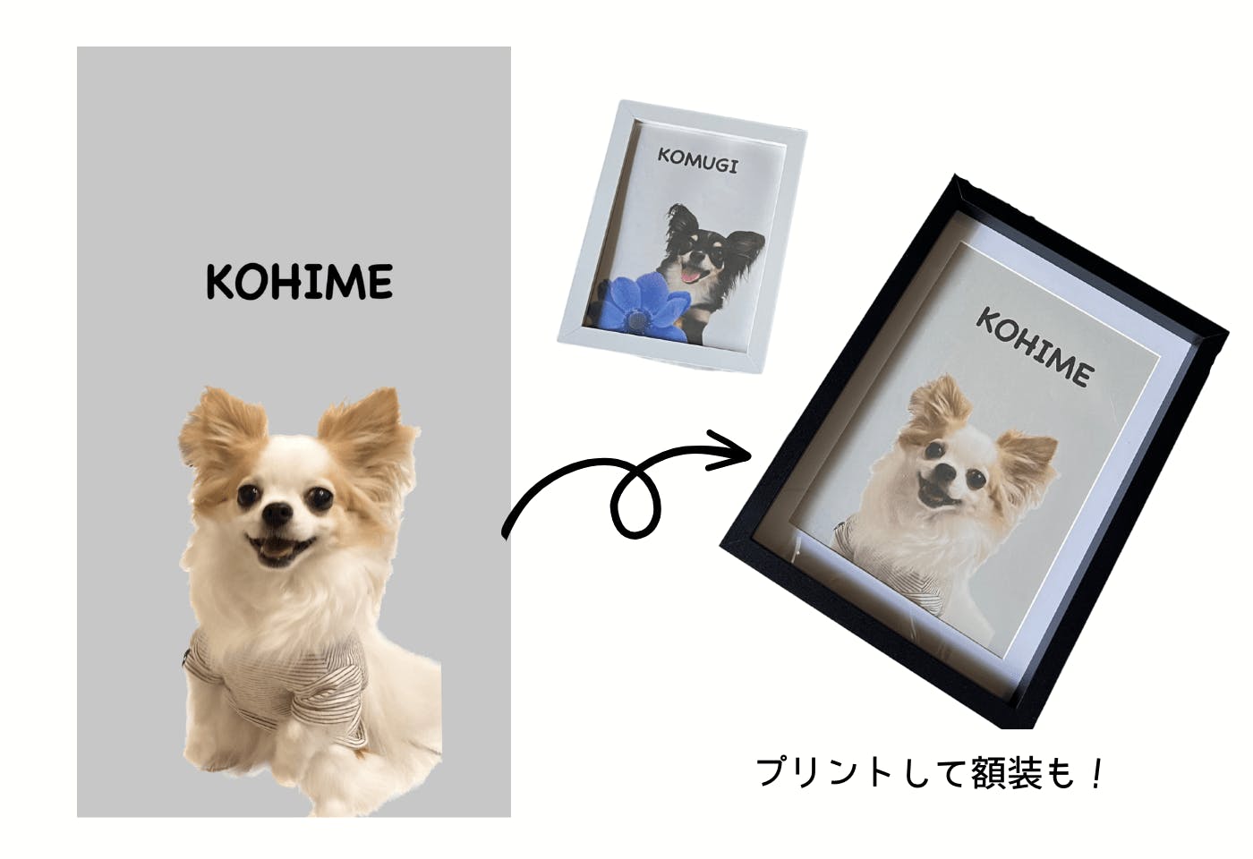 iPhoneの画像切り抜き機能を使った愛犬の絵画風デザイン