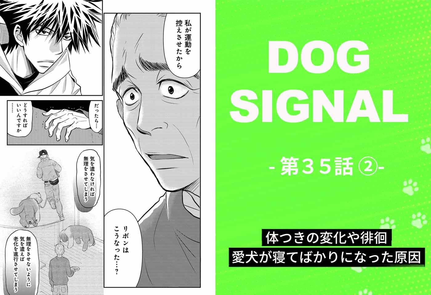 『DOG SIGNAL（ドッグシグナル）』35話目2/4　愛犬の老化が一気に進んだのはなぜ？