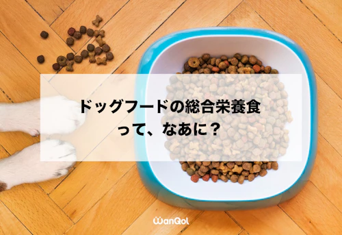 自己流トッピングは危険 手作りごはんの基本を知って 愛犬の幸せな食事を考えよう わんクォール