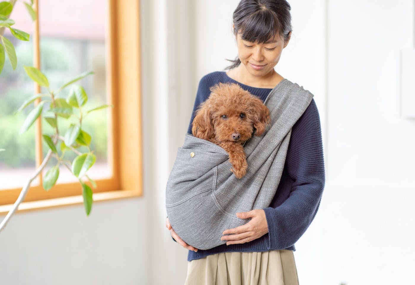 犬が捨てられる原因をなくしたい」生体販売の実情を知り、ドッグス