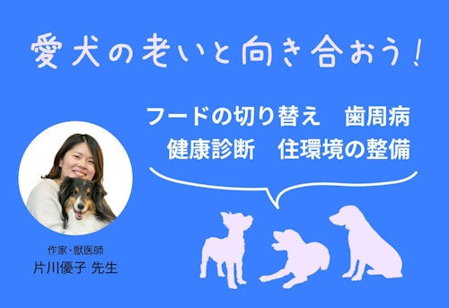 犬のお腹がキュルキュル鳴る原因は 考えられる病気と病院に連れていくべき症状 対処法について解説 獣医師監修 わんクォール