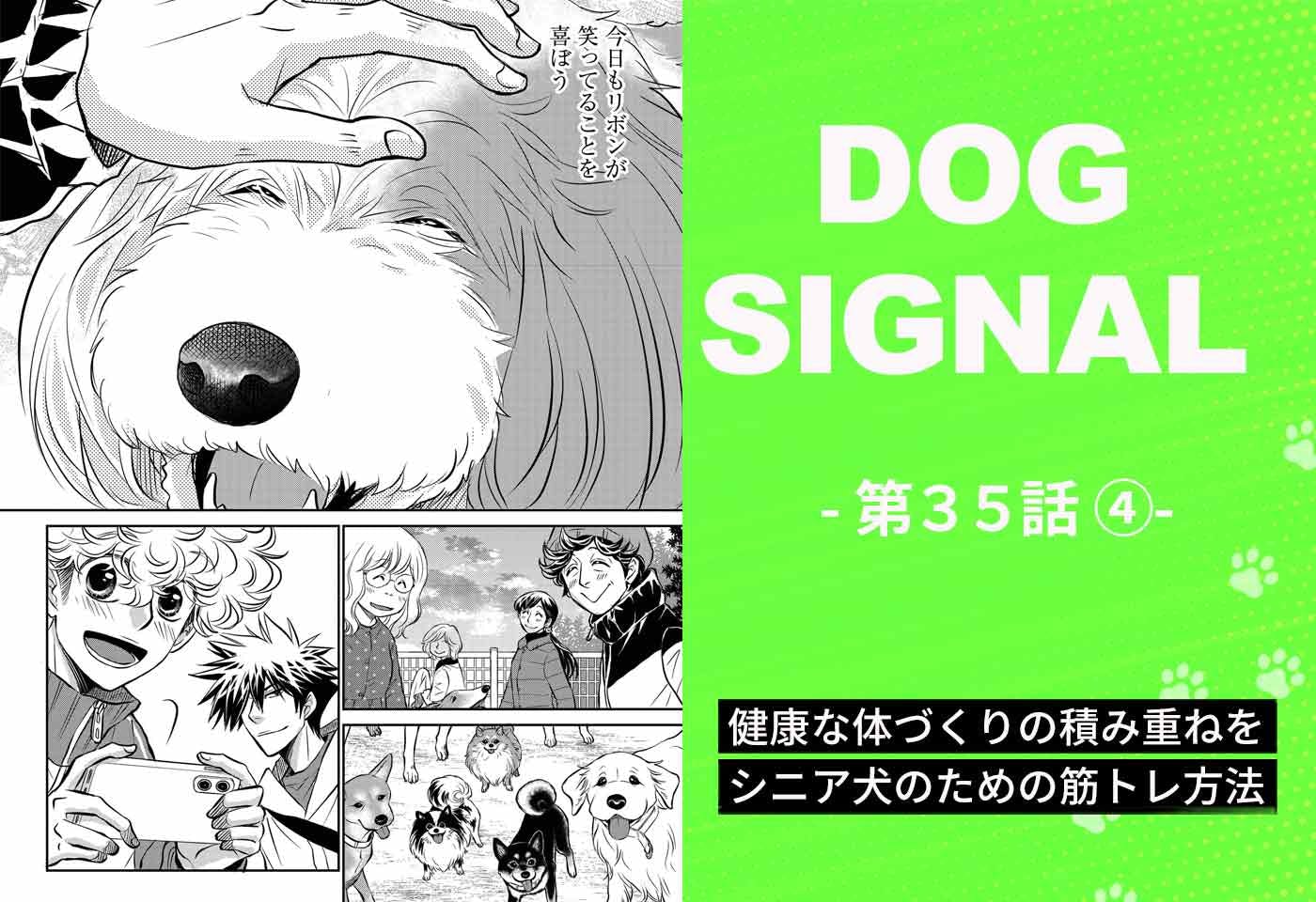DOG SIGNAL（ドッグシグナル）』35話目4/4 シニア犬のための“ゆる筋 