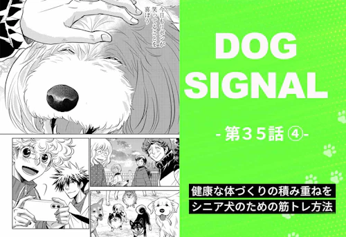 1lt1zrfxk84m 1lt1zrfxk84m