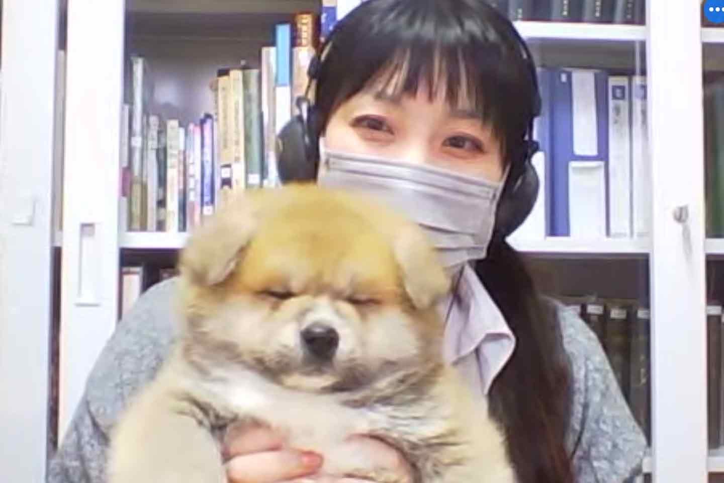 「あきほ＠秋田犬会館」の中の人で公益社団法人秋田犬保存会の佐藤歩さん