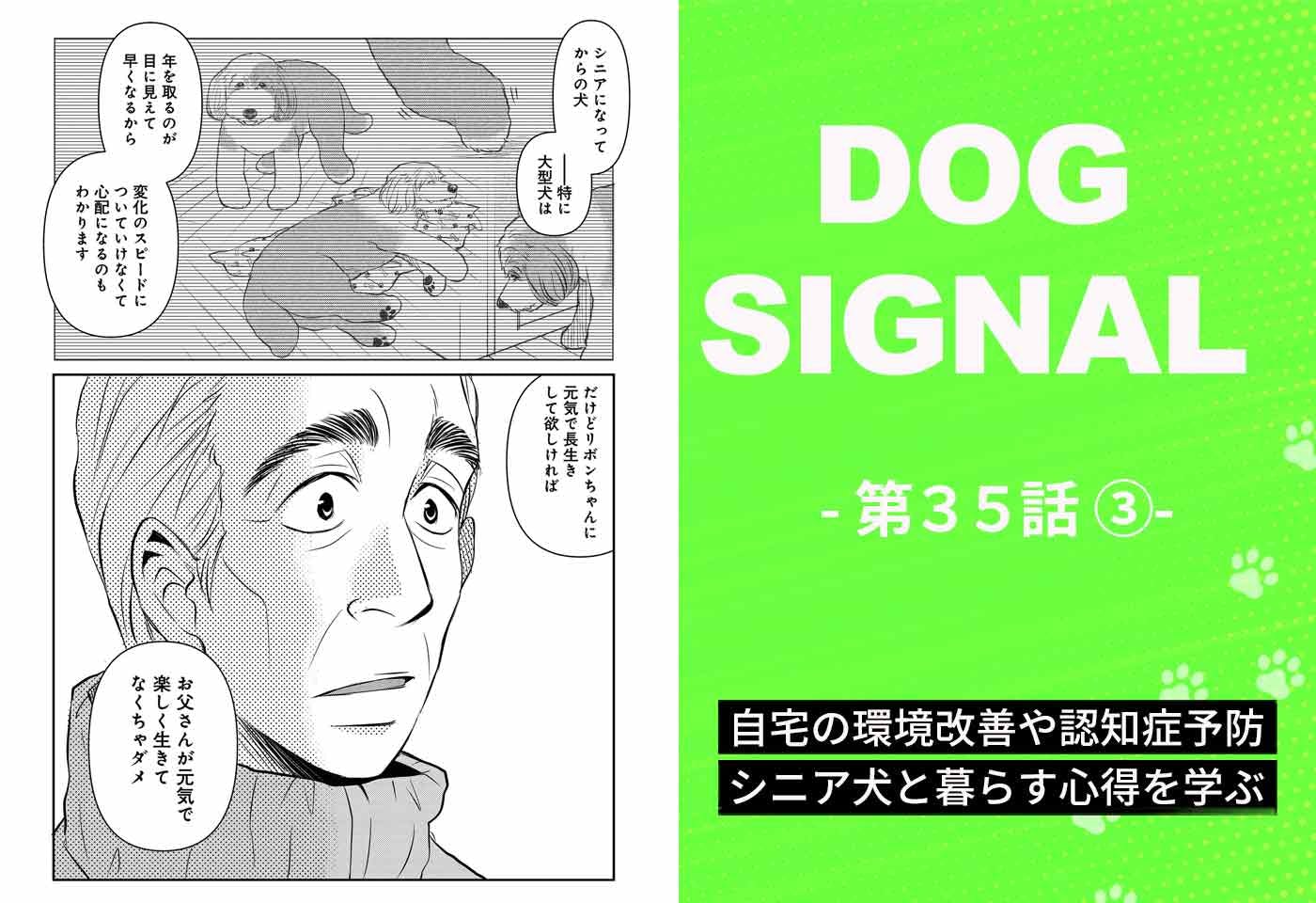 『DOG SIGNAL（ドッグシグナル）』35話目3/4　老犬と暮らす上で大切なこととは？〜環境改善・筋トレ・脳トレ〜
