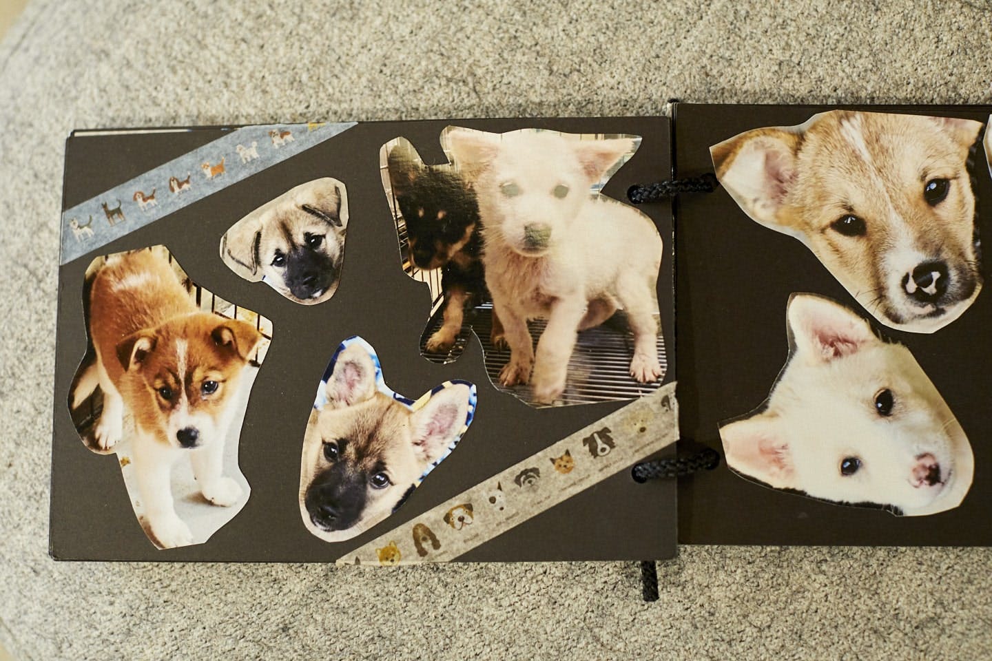 スペースに置かれたアルバムには、里親募集中の保護犬の写真や情報が載っており、それを見て寺田さん経由で引き取ることもできる。