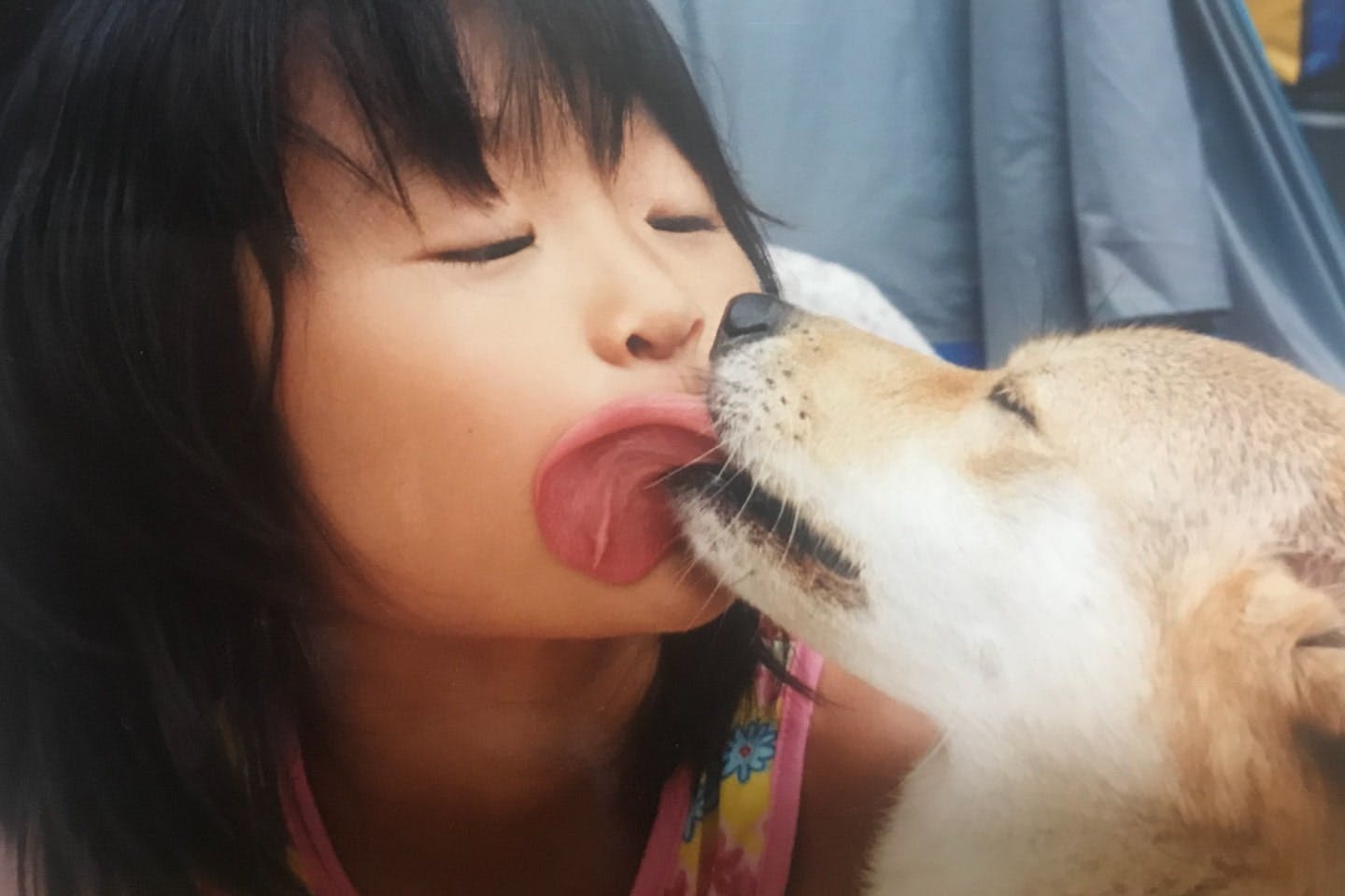 保護犬の姉と過ごした幼少期