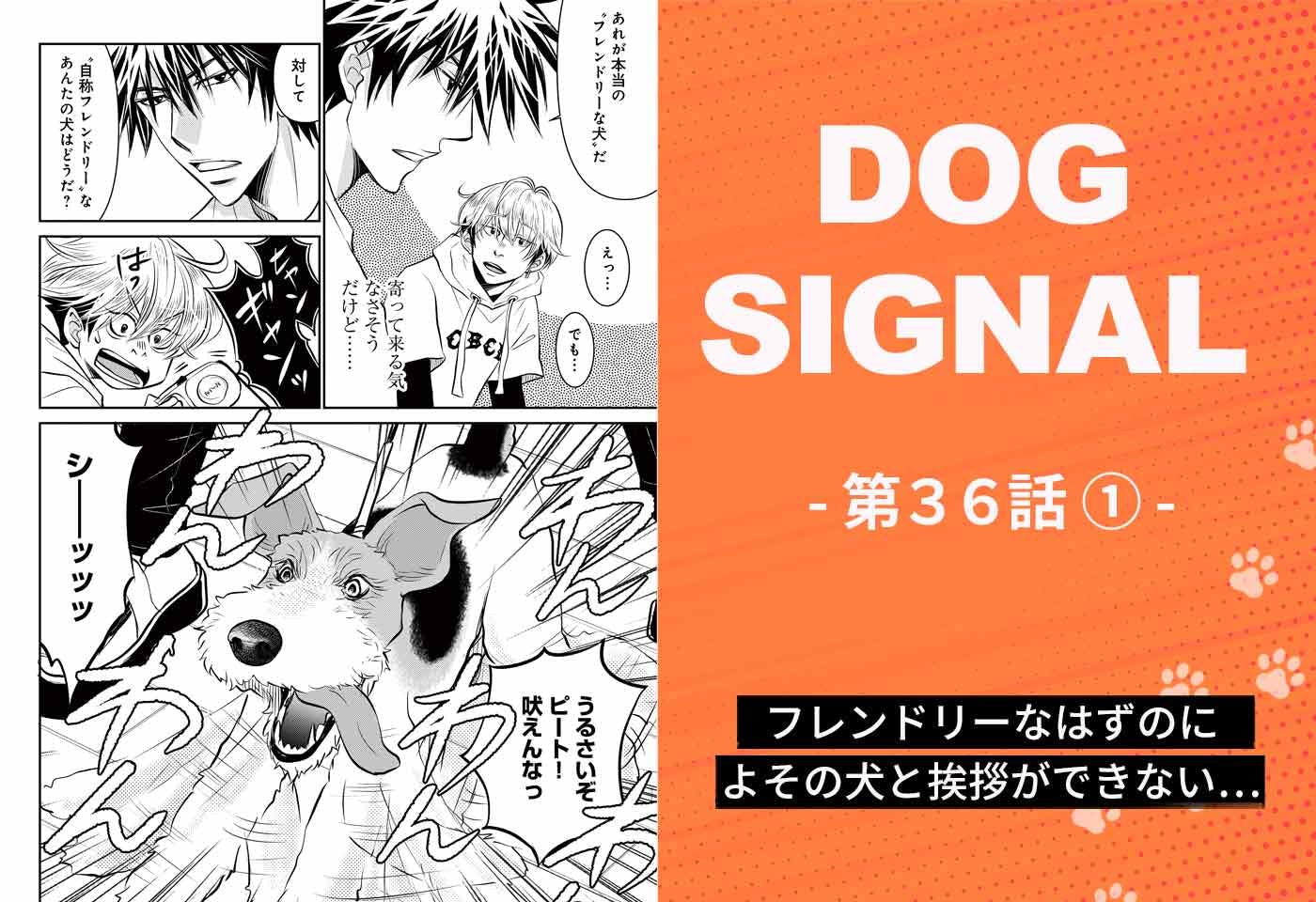 『DOG SIGNAL（ドッグシグナル）』36話目1/4　よその犬と挨拶ができない犬