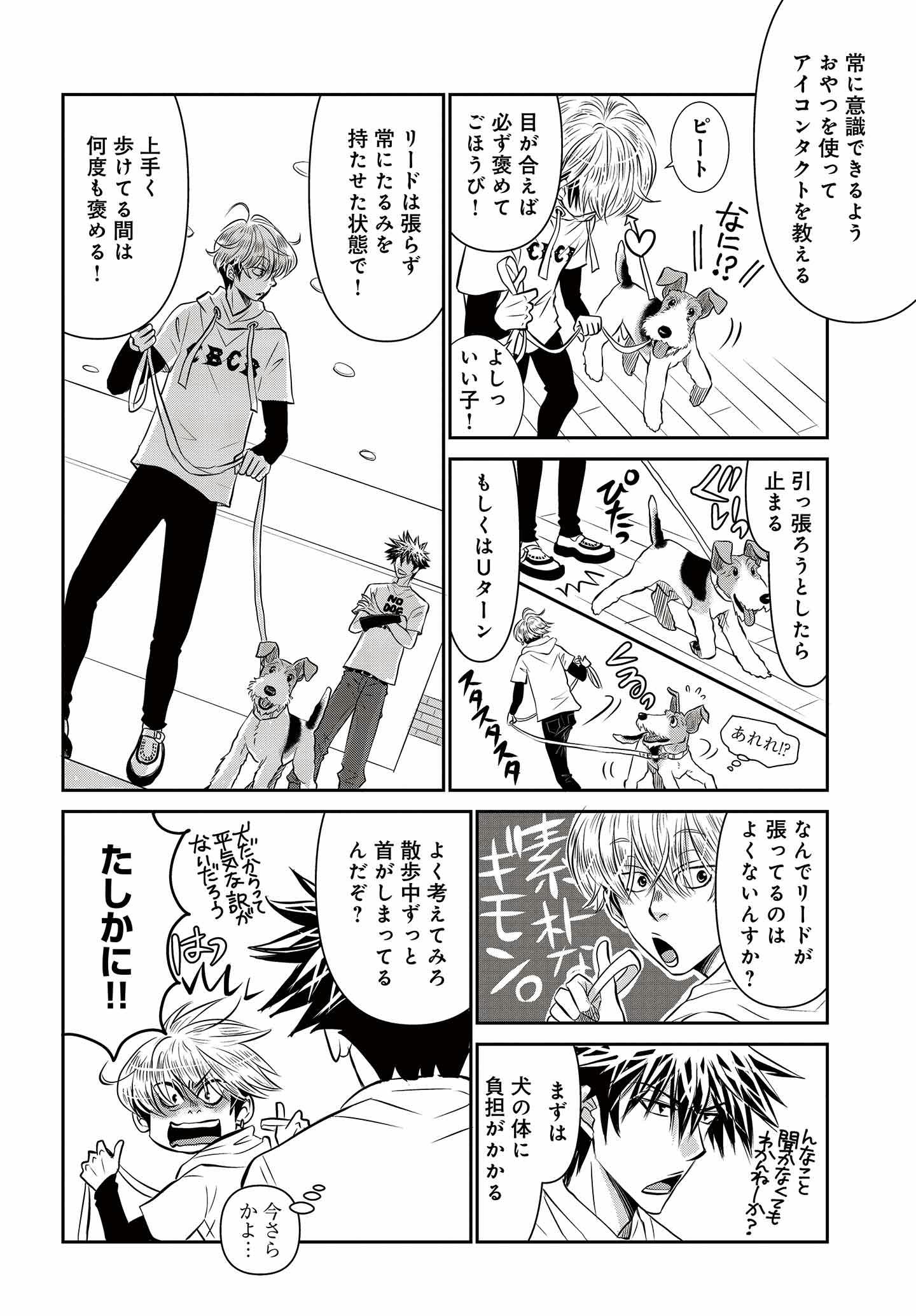 DOG SIGNAL（ドッグシグナル）』36話目3/4 愛犬と上手にお散歩するコツ