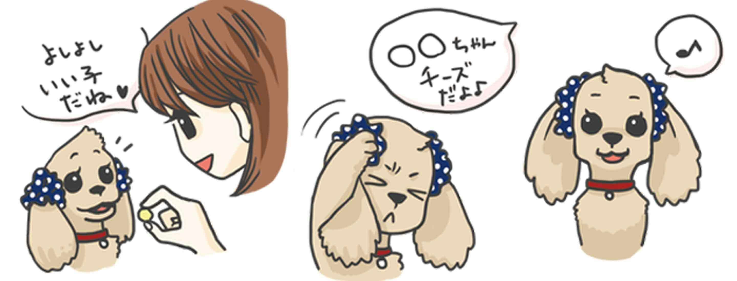 earsaccessories_fordog_interview15-min 『イヤーシュシュ』を嫌がる子の場合の対応方法