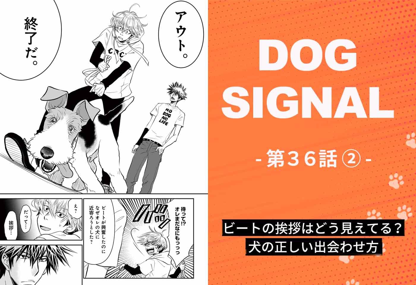 『DOG SIGNAL（ドッグシグナル）』36話目2/4　犬同士の正しい挨拶のやり方