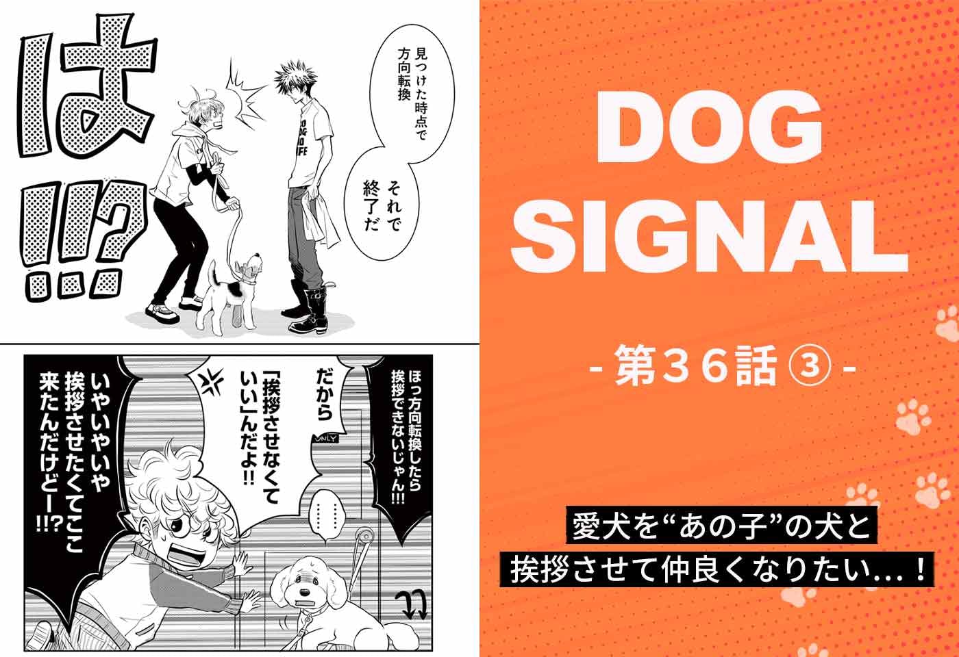 『DOG SIGNAL（ドッグシグナル）』36話目3/4　愛犬と上手にお散歩するコツ