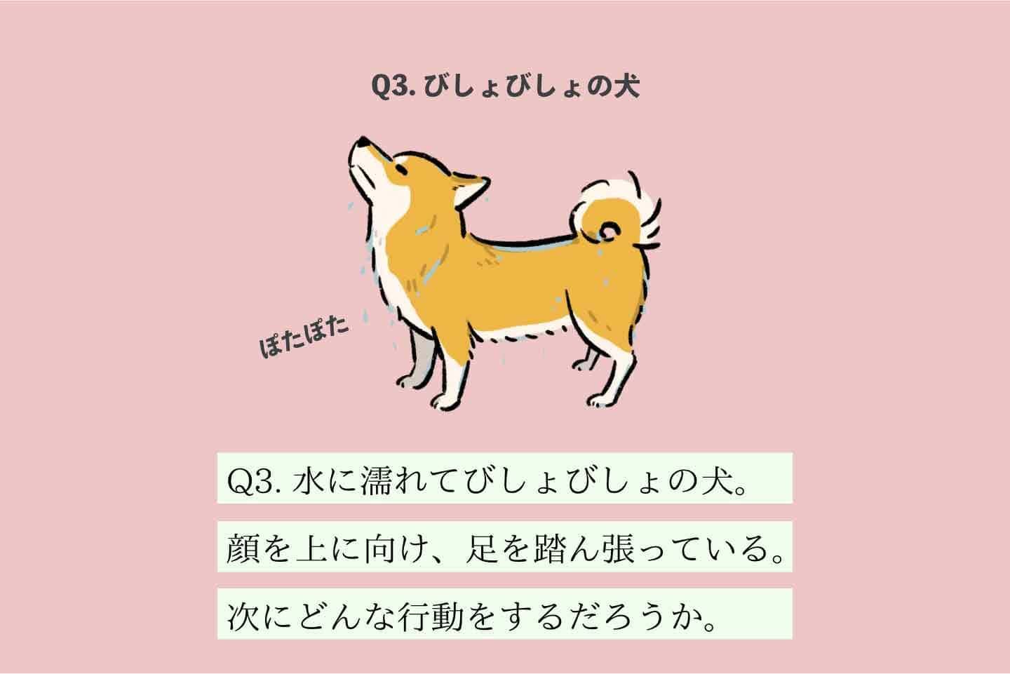 サキヲヨムヌシの生態《変な飼いヌシ図鑑035》