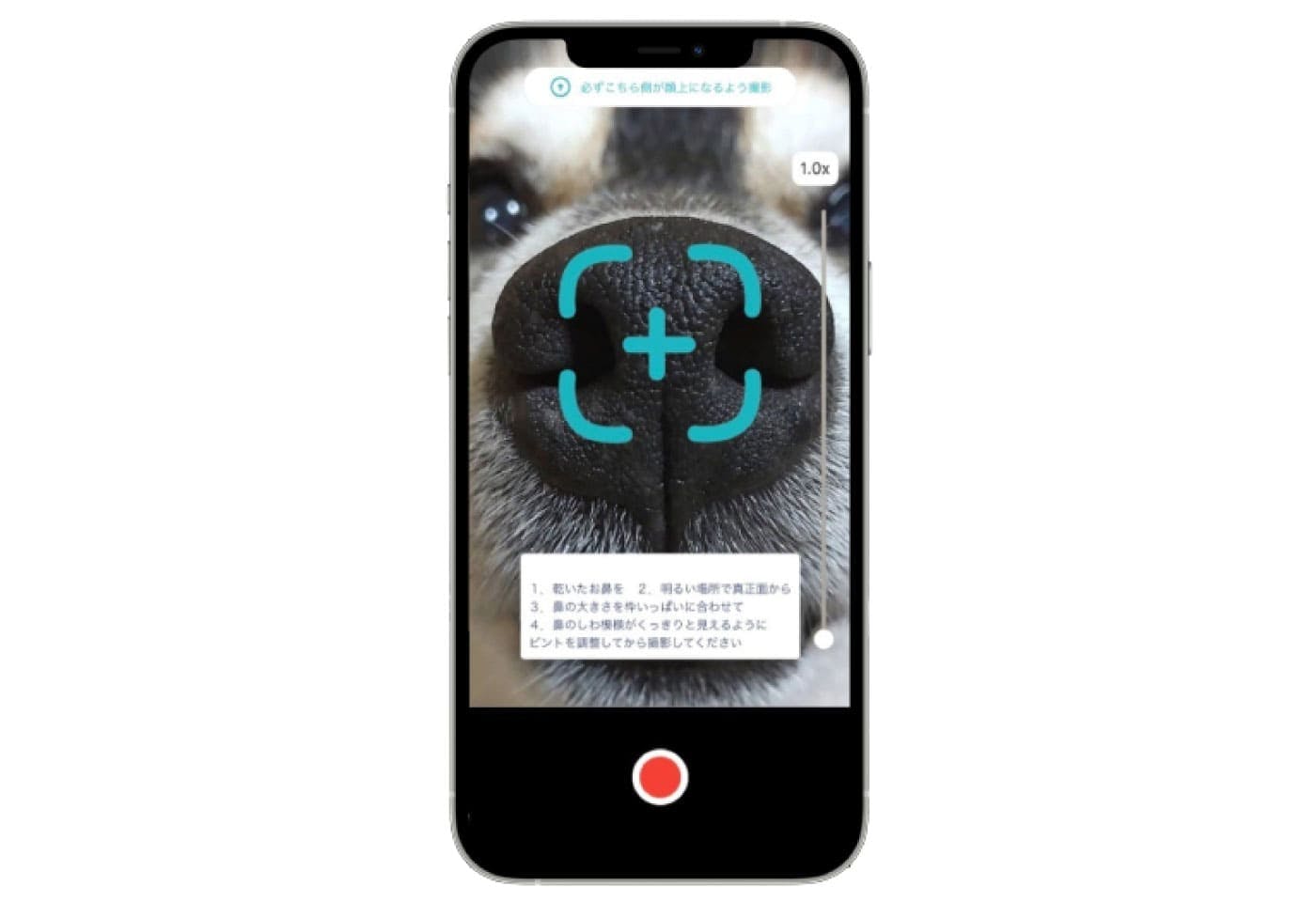 アプリ「Nose ID」の鼻紋認証画面