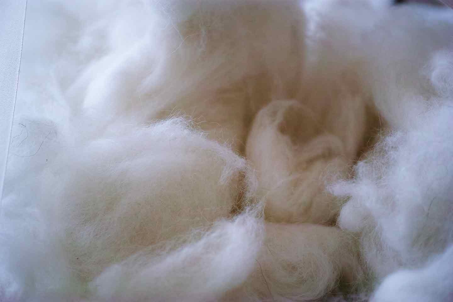 inunoke_textile_interview_04-min 秋田犬の抜け毛