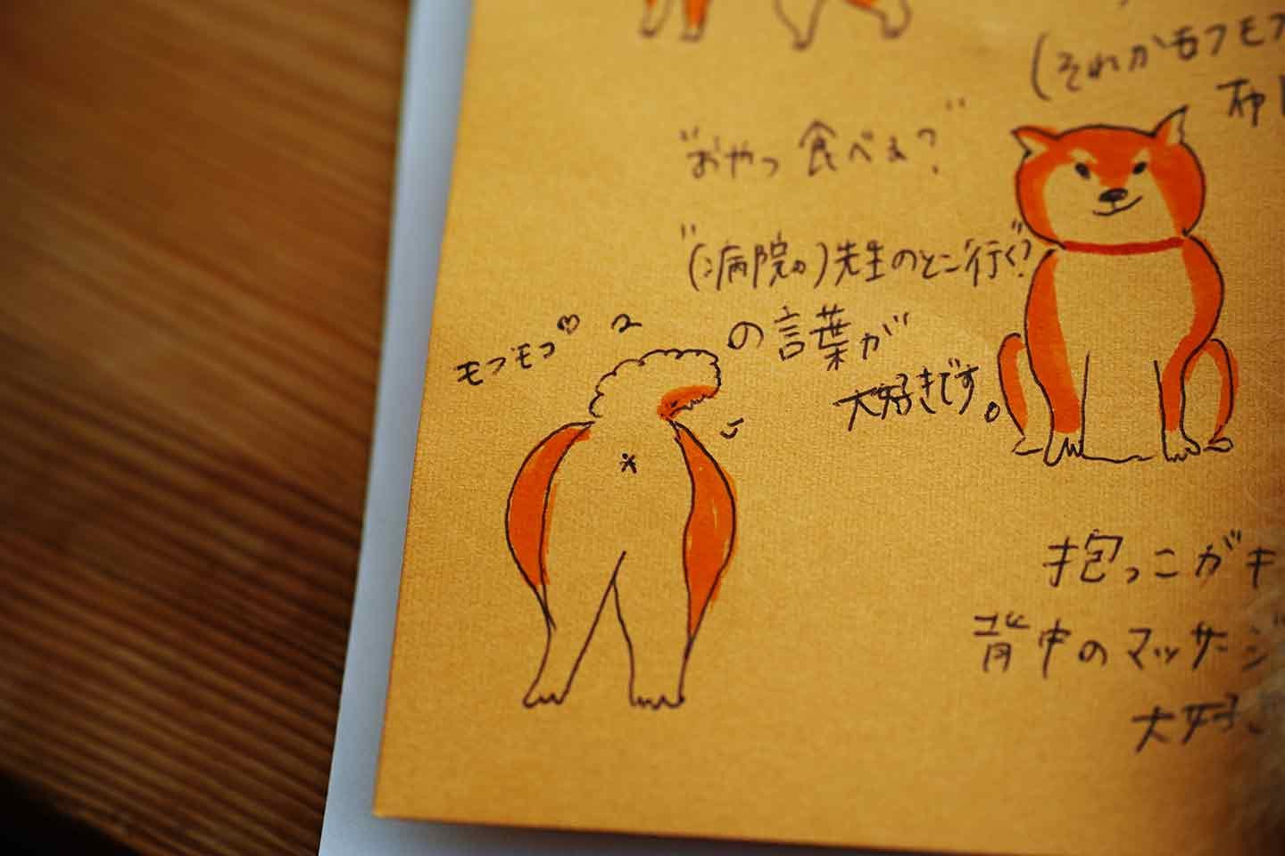 inunoke_textile_interview_08-min 柴の飼い主さんからの手紙