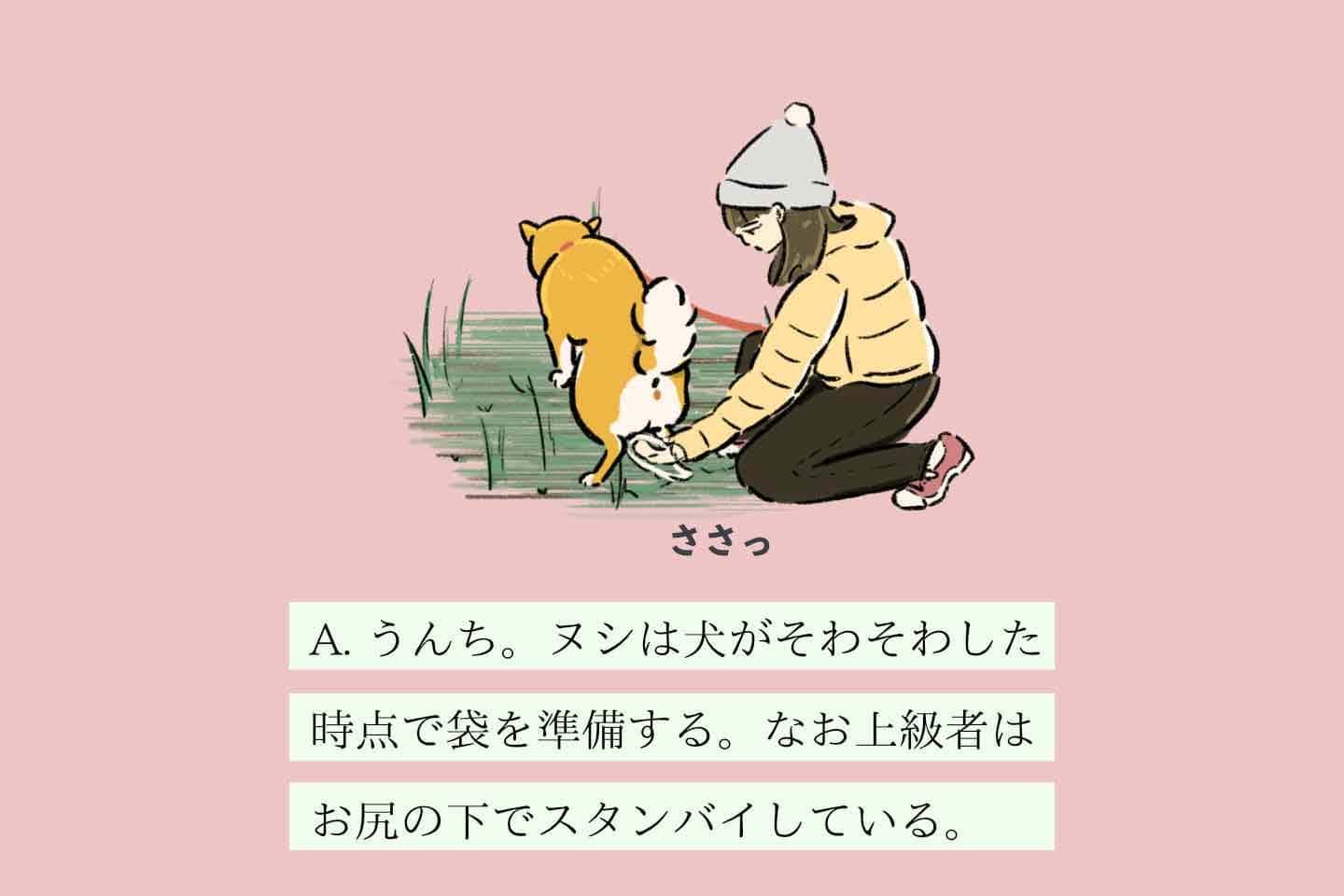 サキヲヨムヌシの生態《変な飼いヌシ図鑑035》