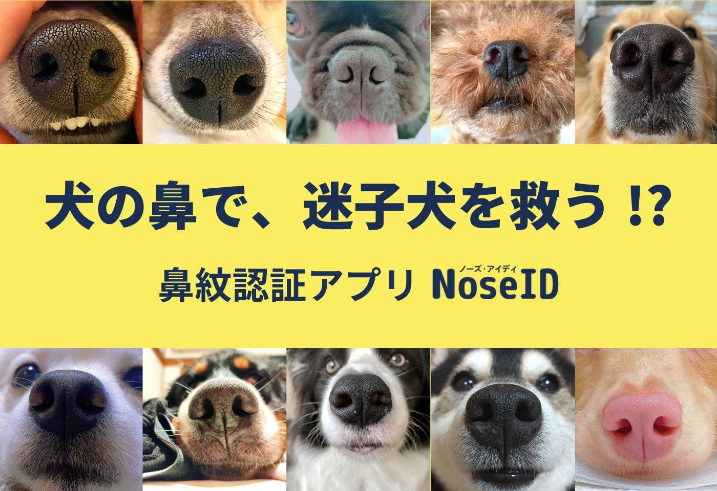 犬の鼻で飼い主を見つけるAI。日本初の鼻紋認証アプリ「Nose ID」が