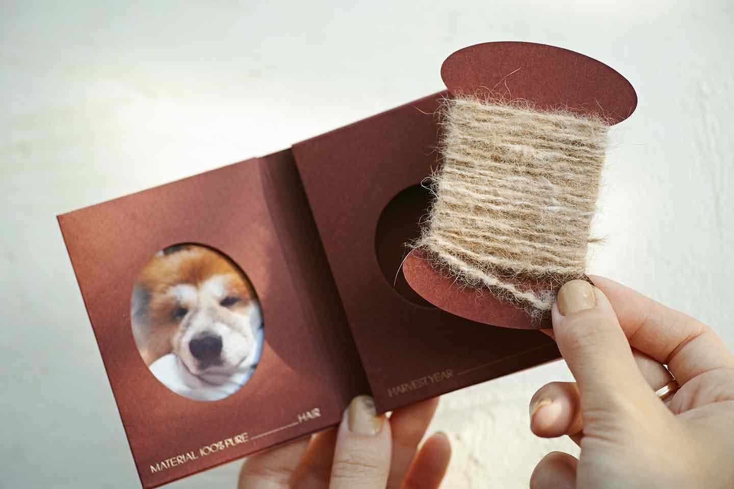 inunoke_textile_interview_11-min 『SPINNING MEMORIES』