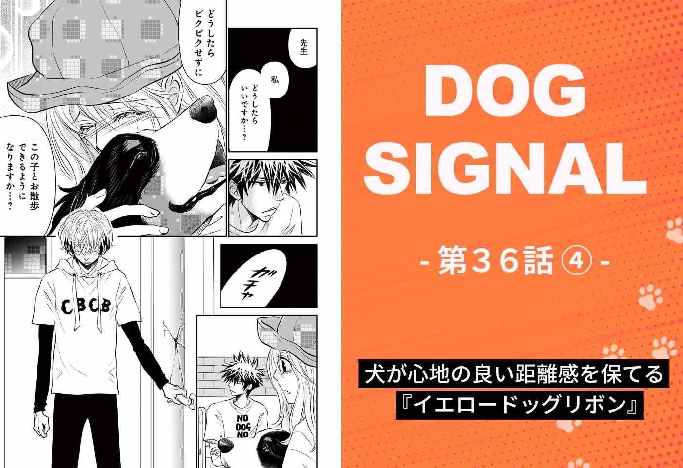 『DOG SIGNAL』36話目4/4　「イエロードッグプロジェクト」って何？