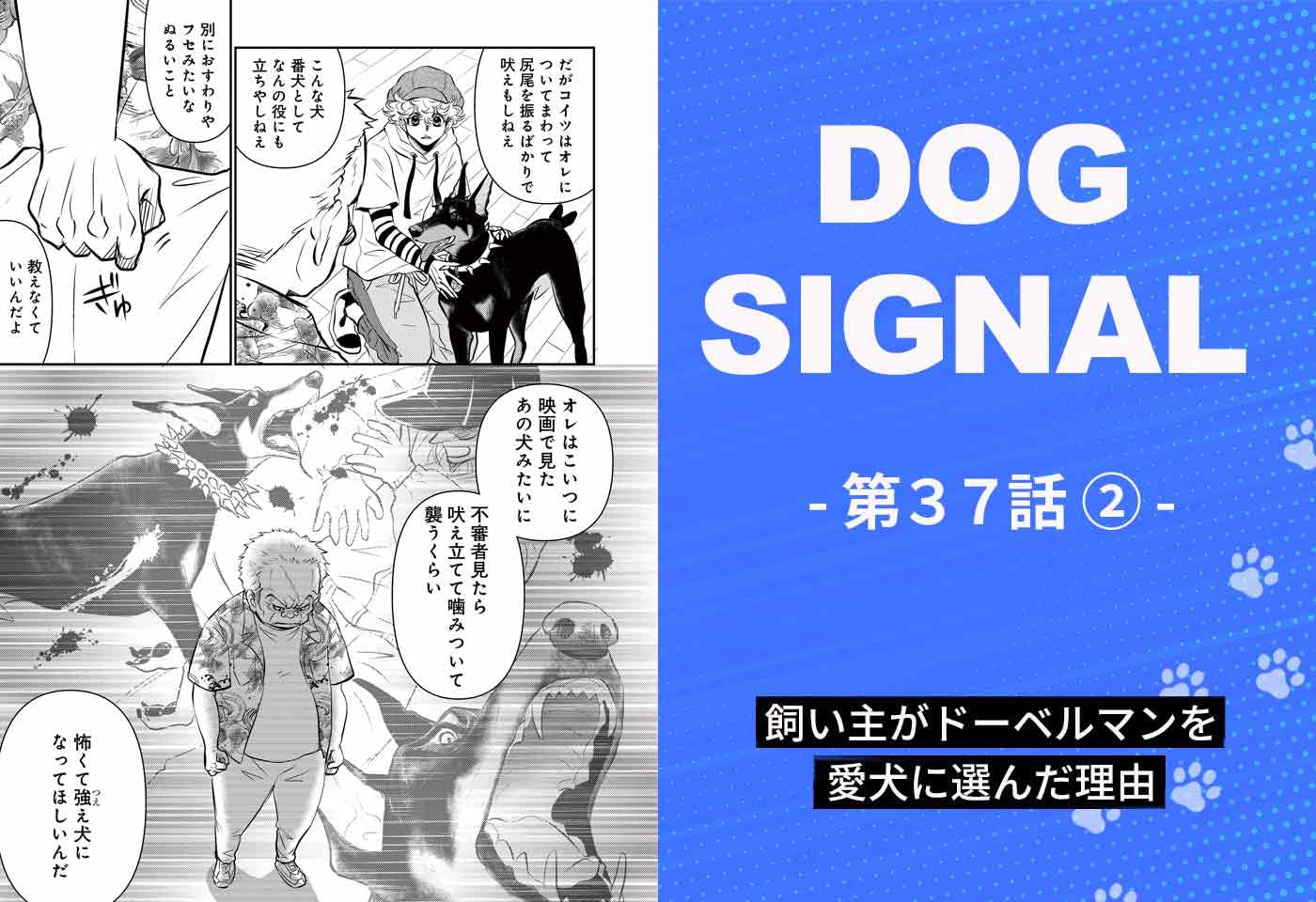 DOG SIGNAL（ドッグシグナル）』37話目2/4 番犬にならない犬は要らない？|ワンクォール