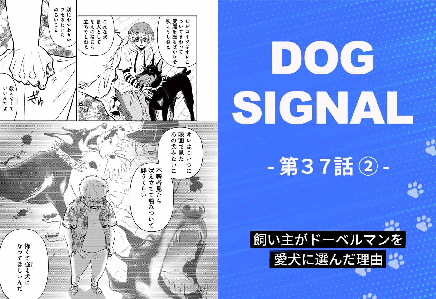 【最新話】『DOG SIGNAL』37話目2/4　番犬にならない犬は要らない？