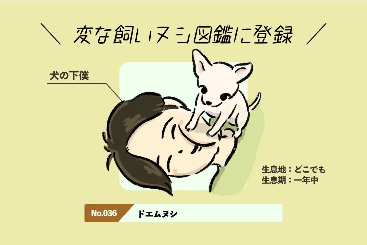 あなたが変われば愛犬が変わる飼い主さん矯正マニュアル 愛犬が幸せで長生きする飼い方とごはんの知恵29 | 宿南章 |本