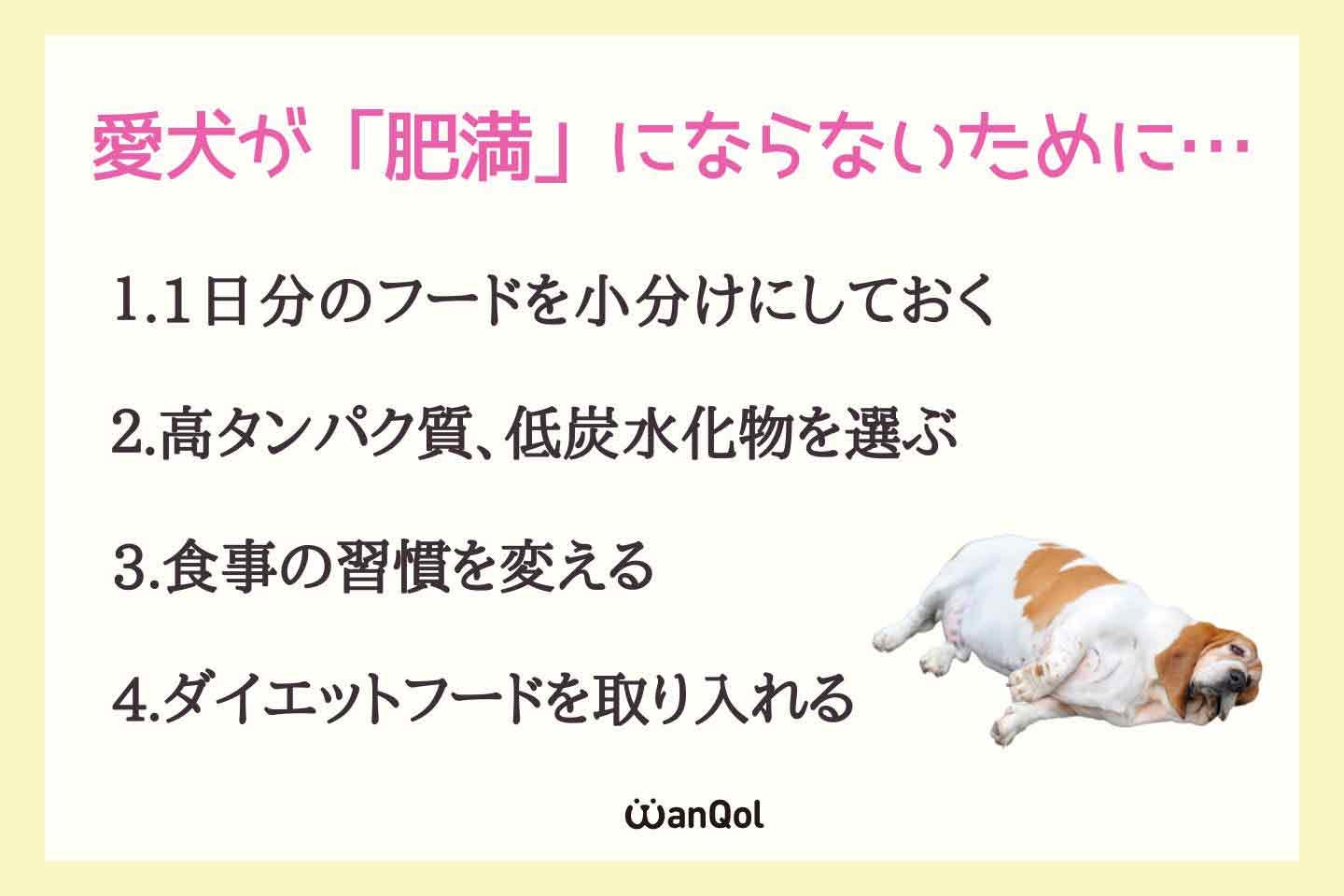 愛犬への「肥満」防止対策