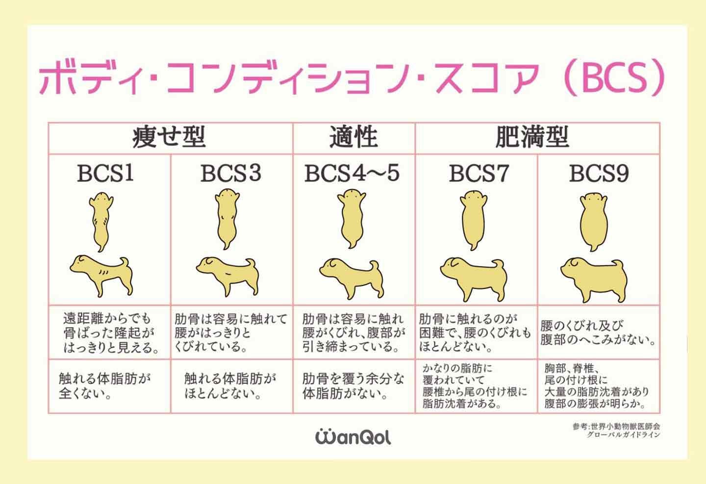 愛犬のBCS（ボディ・コンディション・スコア）チェック表