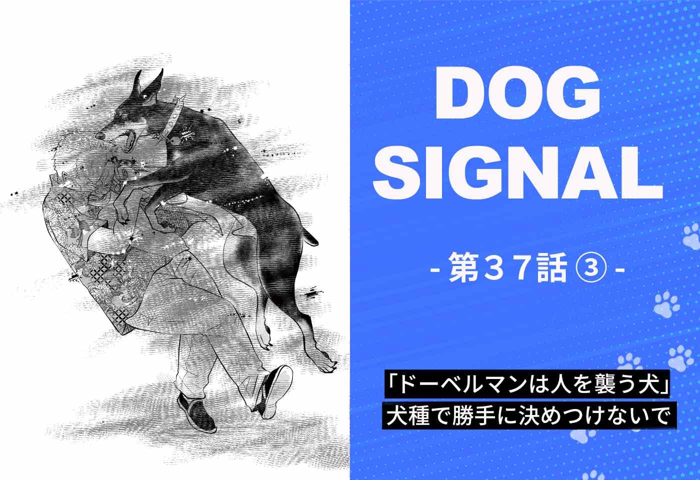 【最新話】『DOG SIGNAL』37話目3/4　犬種で性格を決めつけないで